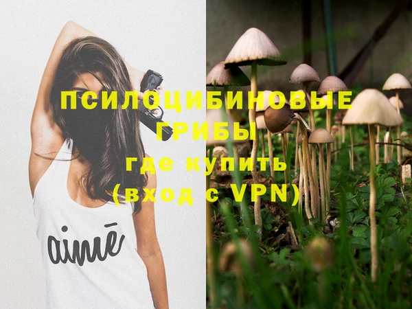 ГАЛЛЮЦИНОГЕННЫЕ ГРИБЫ Балахна