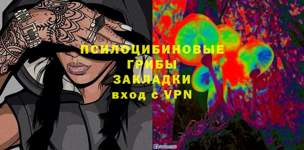 ГАЛЛЮЦИНОГЕННЫЕ ГРИБЫ Балахна