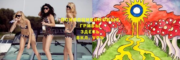 гашик Беломорск