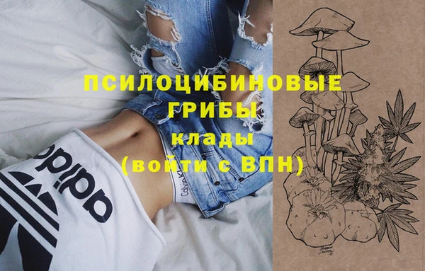 гашик Беломорск