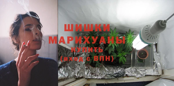 ГАЛЛЮЦИНОГЕННЫЕ ГРИБЫ Балахна