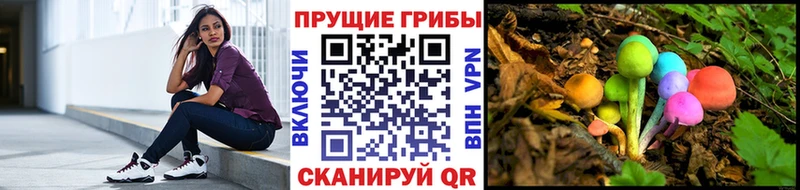 Галлюциногенные грибы MAGIC MUSHROOMS Нефтекумск