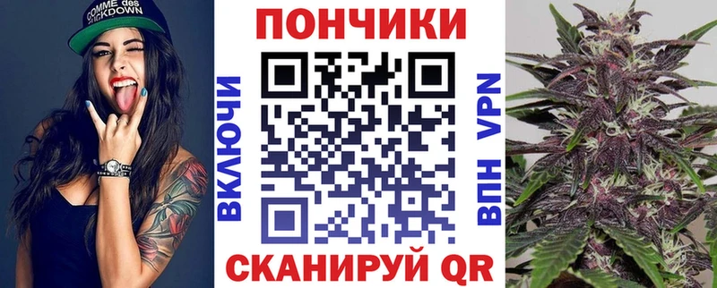 где продают наркотики  Нефтекумск  даркнет телеграм  Канабис Amnesia 
